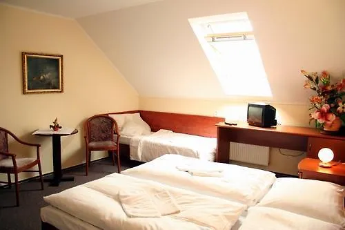 Hotel U Hvezdy Prága