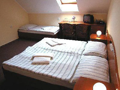 Hotel U Hvezdy Praga